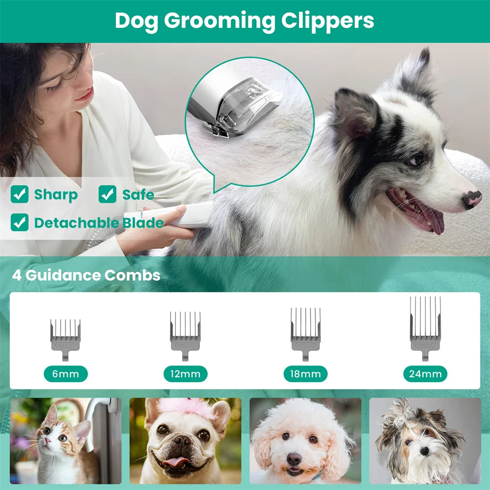 Professional Pet Grooming Kit