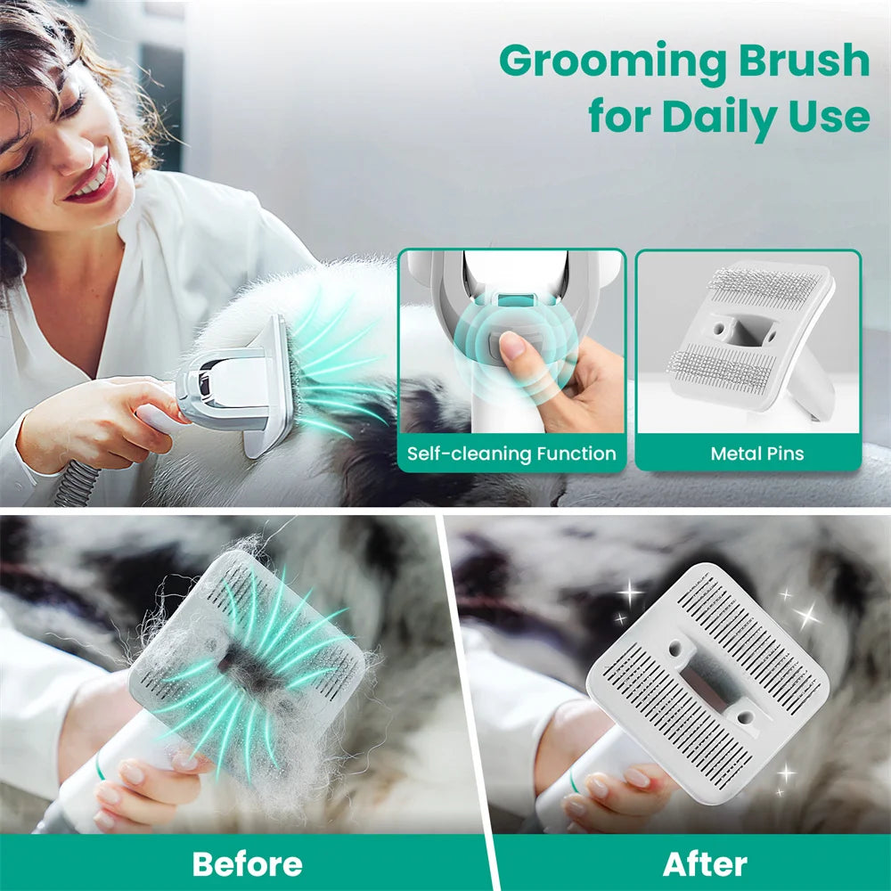 Professional Pet Grooming Kit